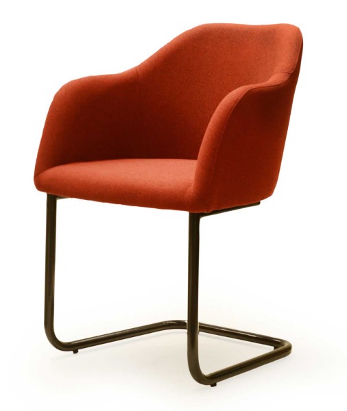 Standard Furniture Theo Freischwinger Sessel viele Farben